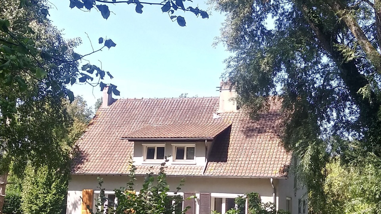 Photo of Outdoor in Saints