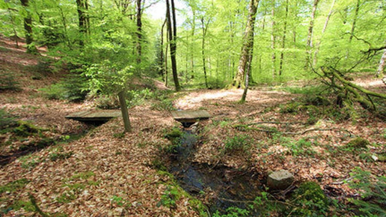 Photo of Others in Reipertswiller