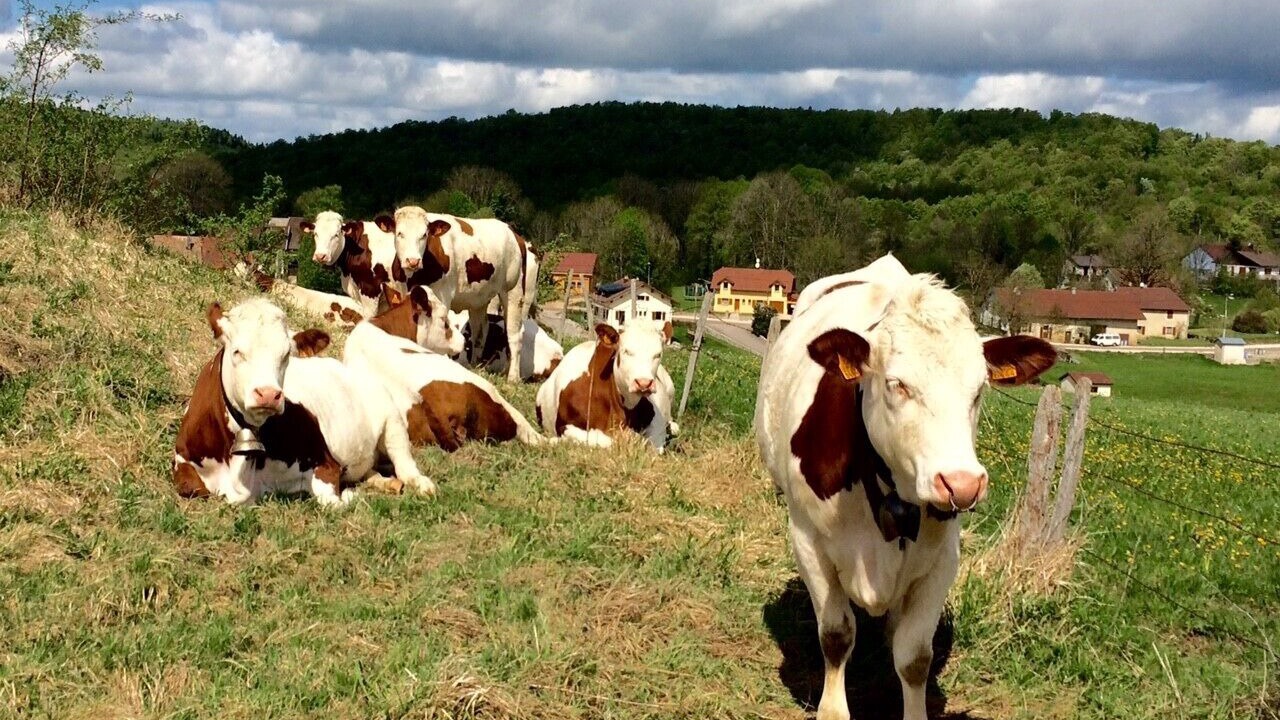 Photo of Others in Le Frasnois