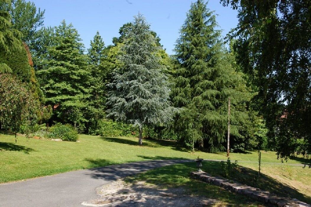 Photo of Outdoor in Itxassou