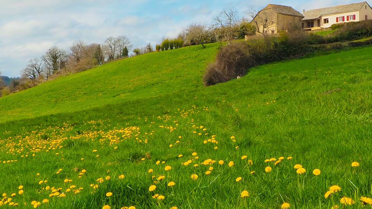 Photo of Outdoor in Pradinas