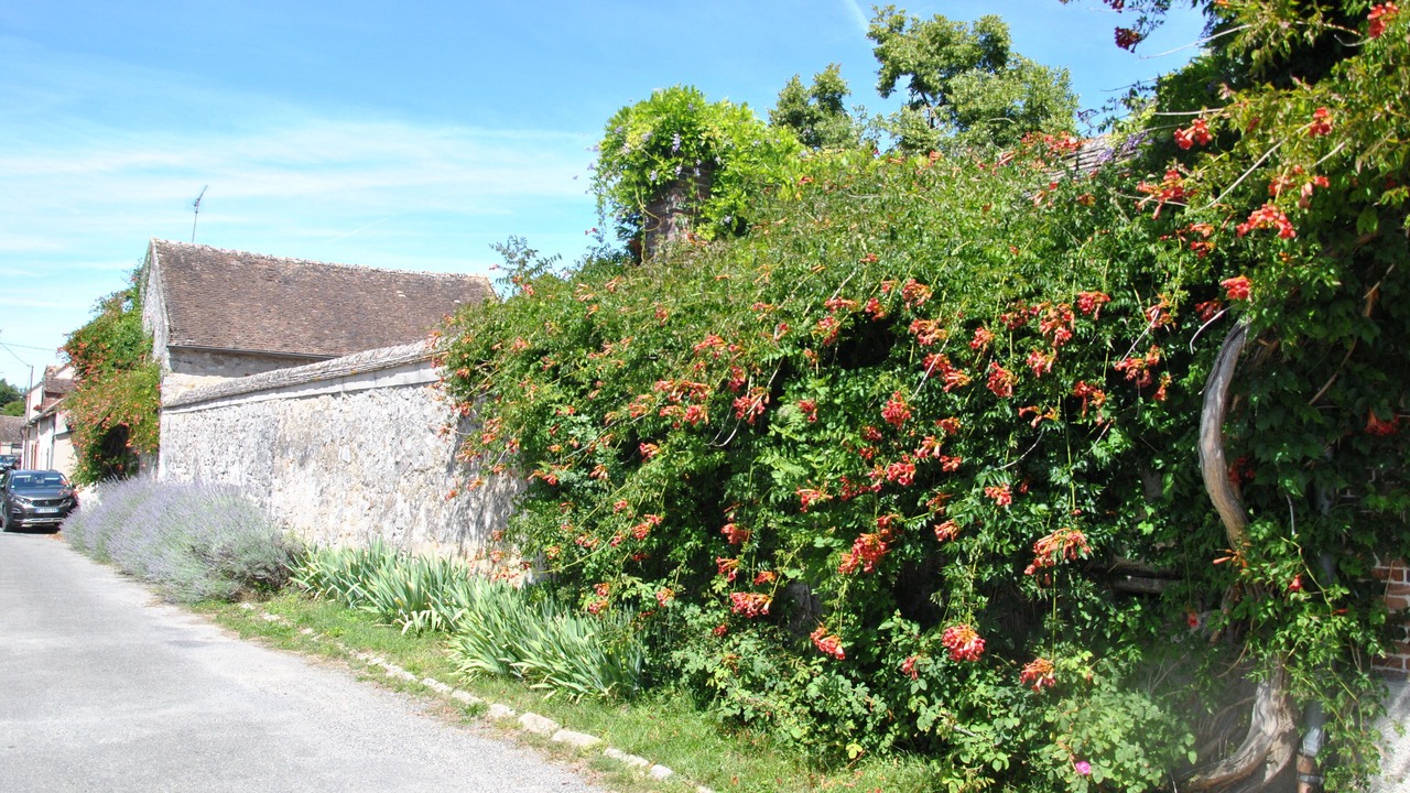 Photo of Outdoor in Flagy