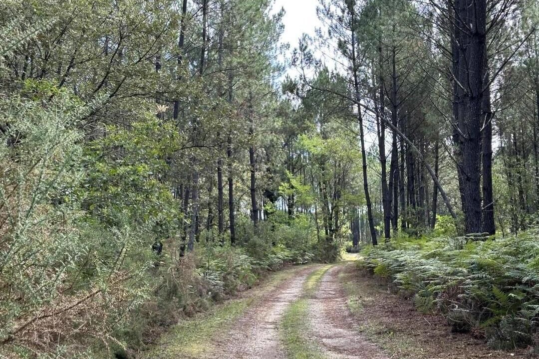 Photo of Outdoor in Argelouse
