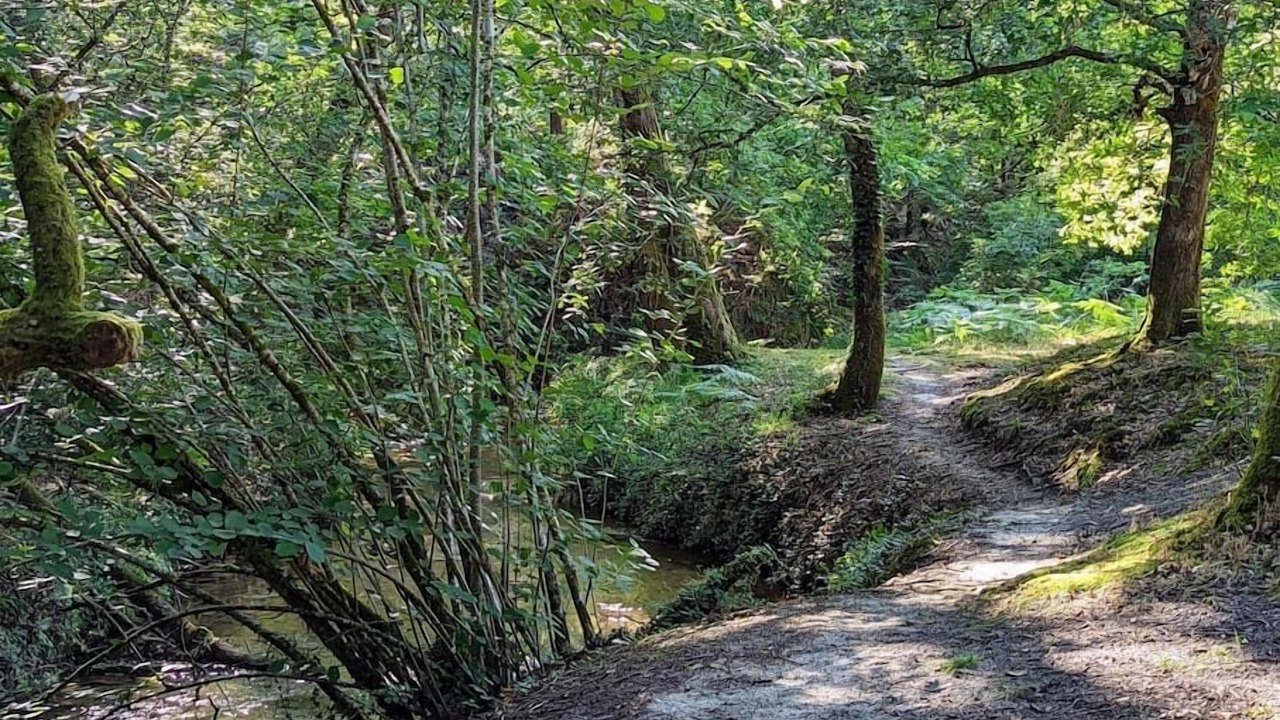 Photo of Outdoor in Lesperon