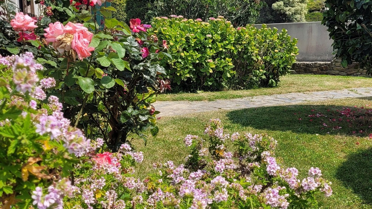 Photo of Outdoor in Perros-Guirec