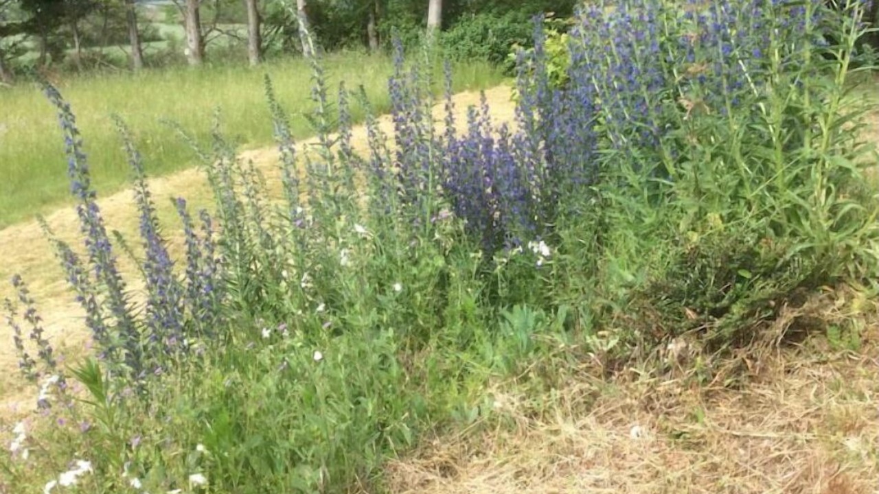Photo of Outdoor in Saint-Pierre-du-Champ