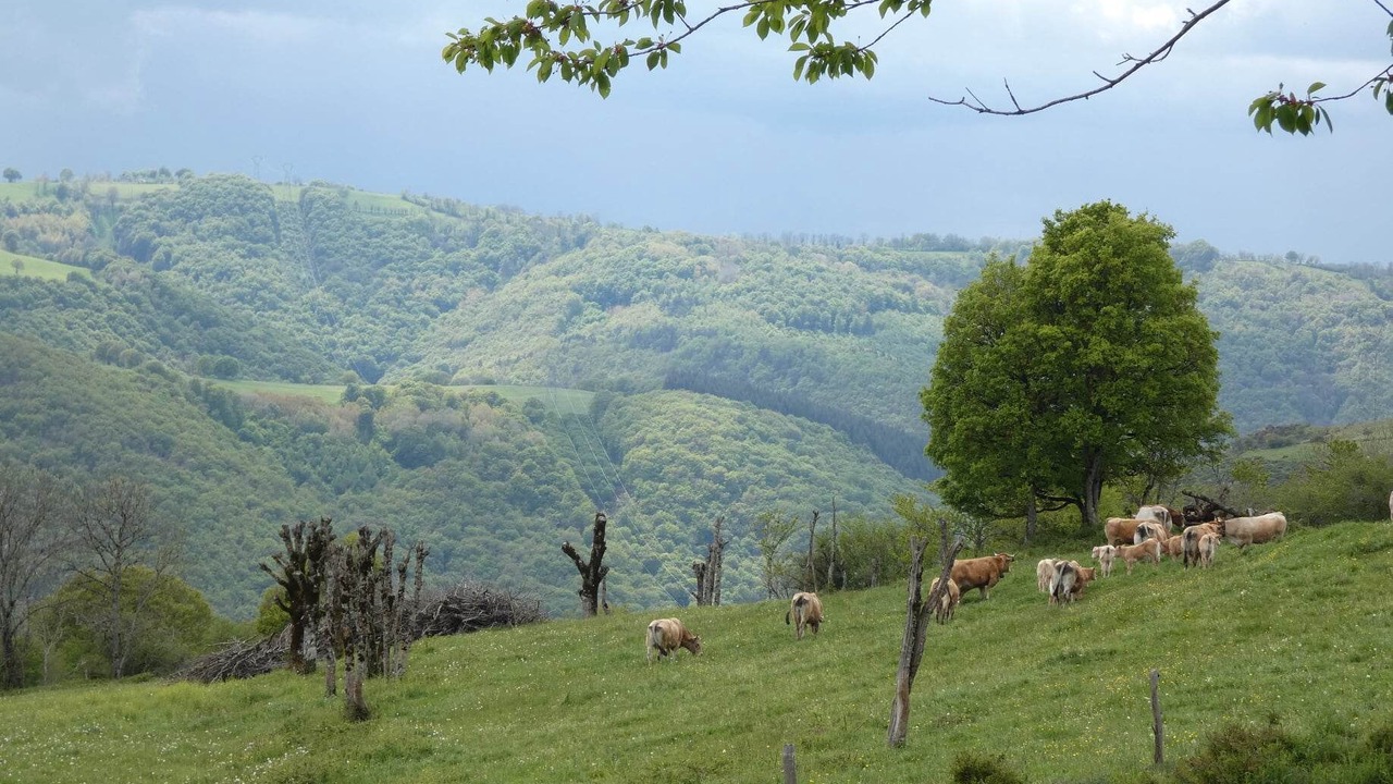Photo of Outdoor in Saint-Flour Agglomeration