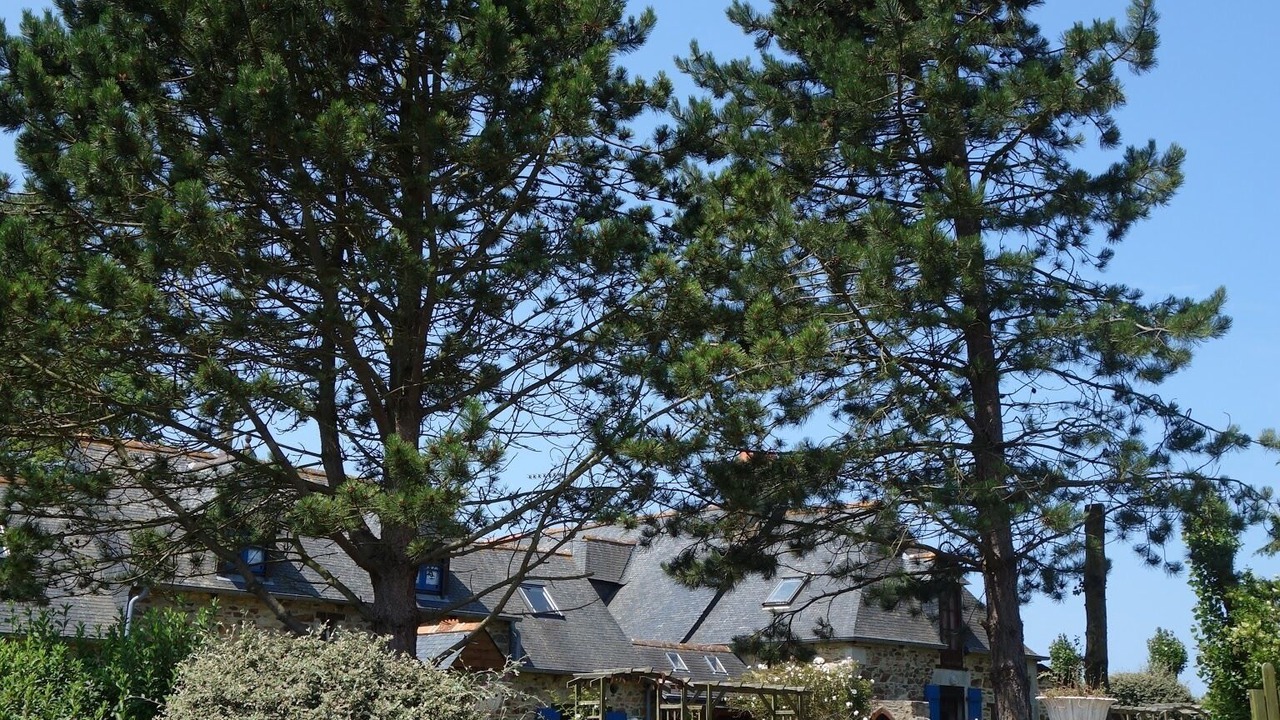 Photo of Outdoor in Lezardrieux