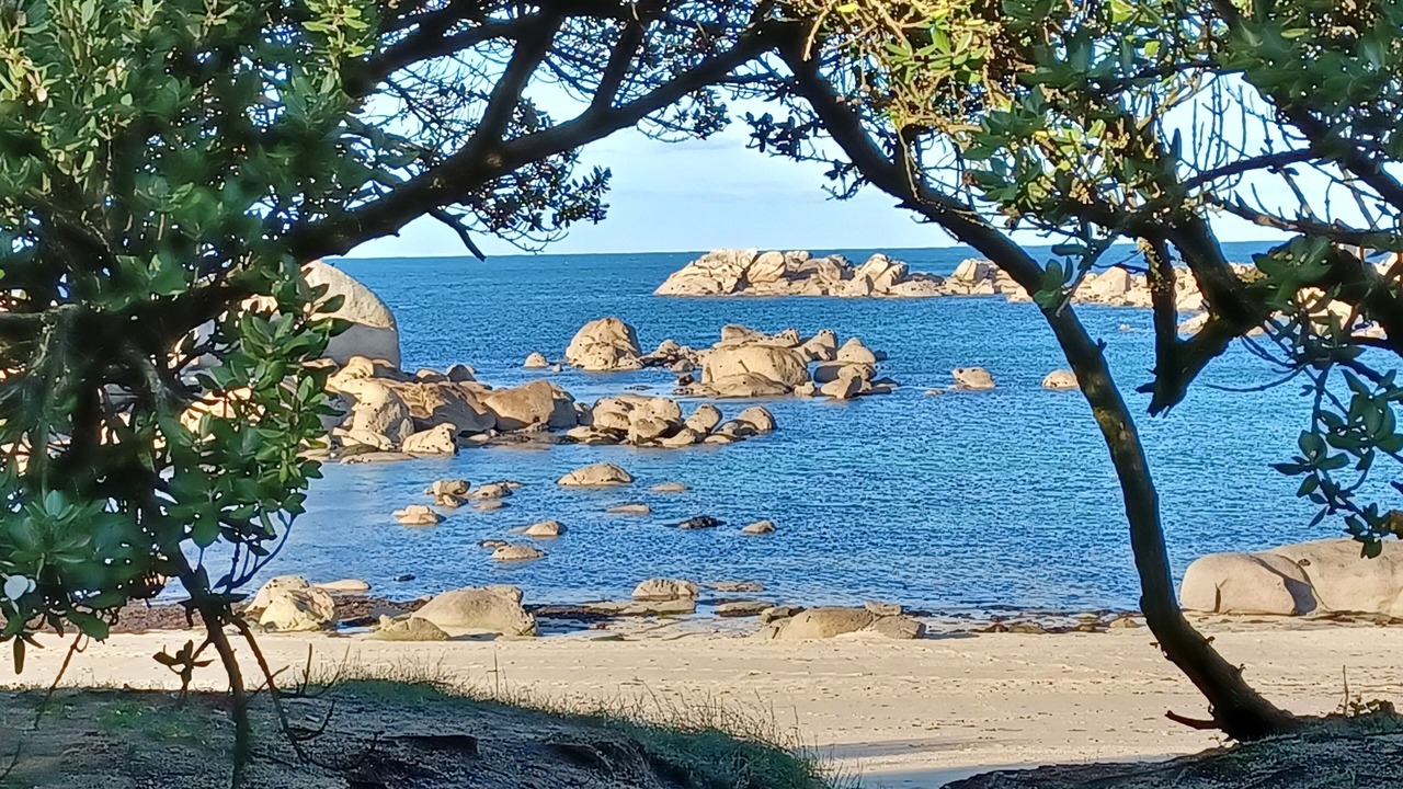 Photo of Others in Plouneour-Trez