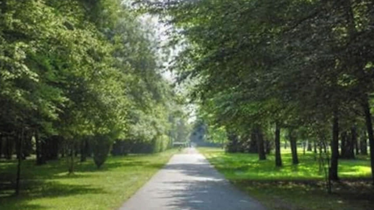 Photo of Outdoor in Bras de Fer
