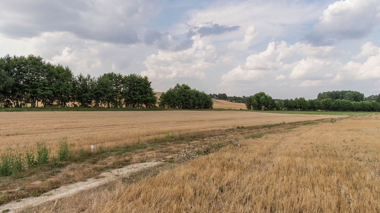Photo of Others in Faverolles