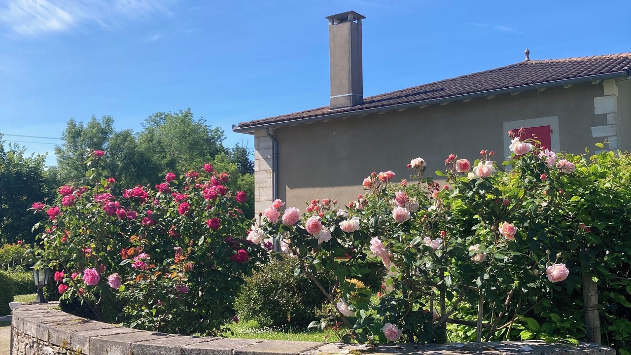 Photo of Outdoor in Caylus