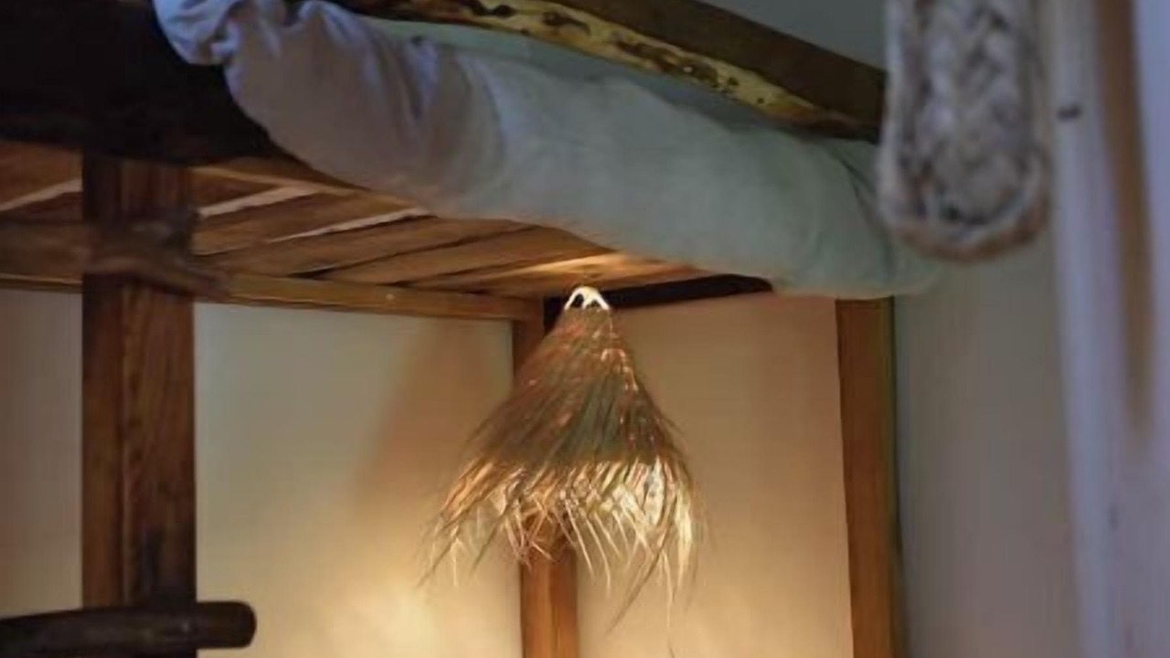 Photo of Bedroom in Saint-Paul-le-Jeune