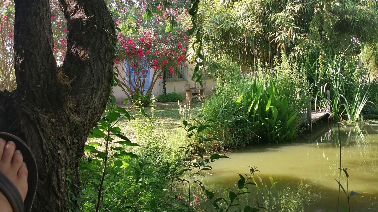 Photo of Outdoor in Palau-del-Vidre