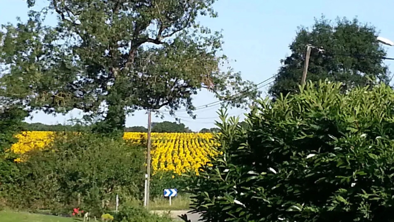 Photo of Outdoor in Moragne