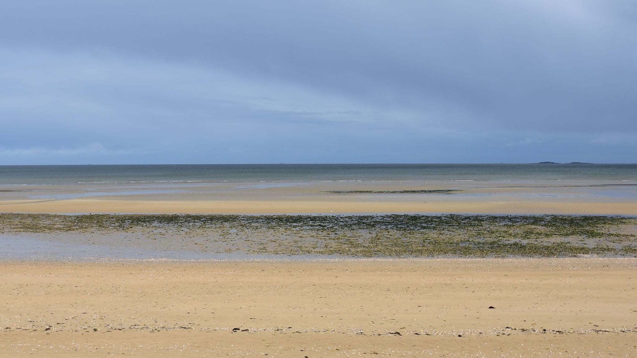 Photo of Others in Saint-Marcouf
