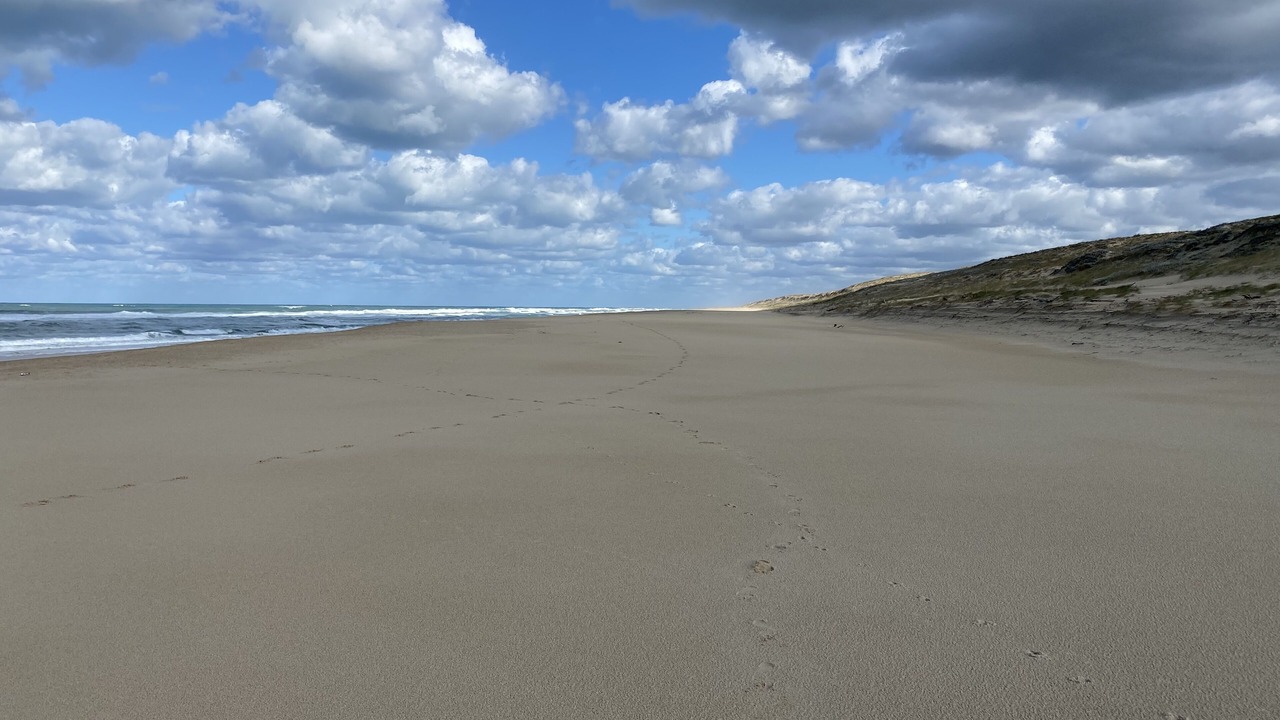Photo of Others in Saint-Girons Plage