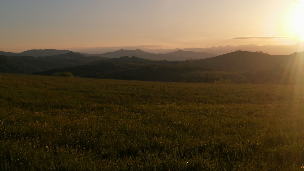 Photo of Others in Bongheat