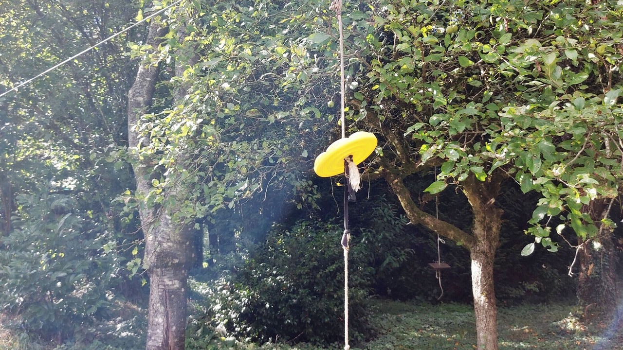 Photo of Others in Saint-Thomas-de-Courceriers