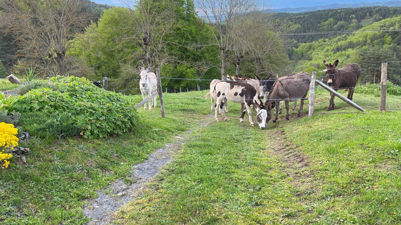 Photo of Others in Saint-Prejet-d'Allier