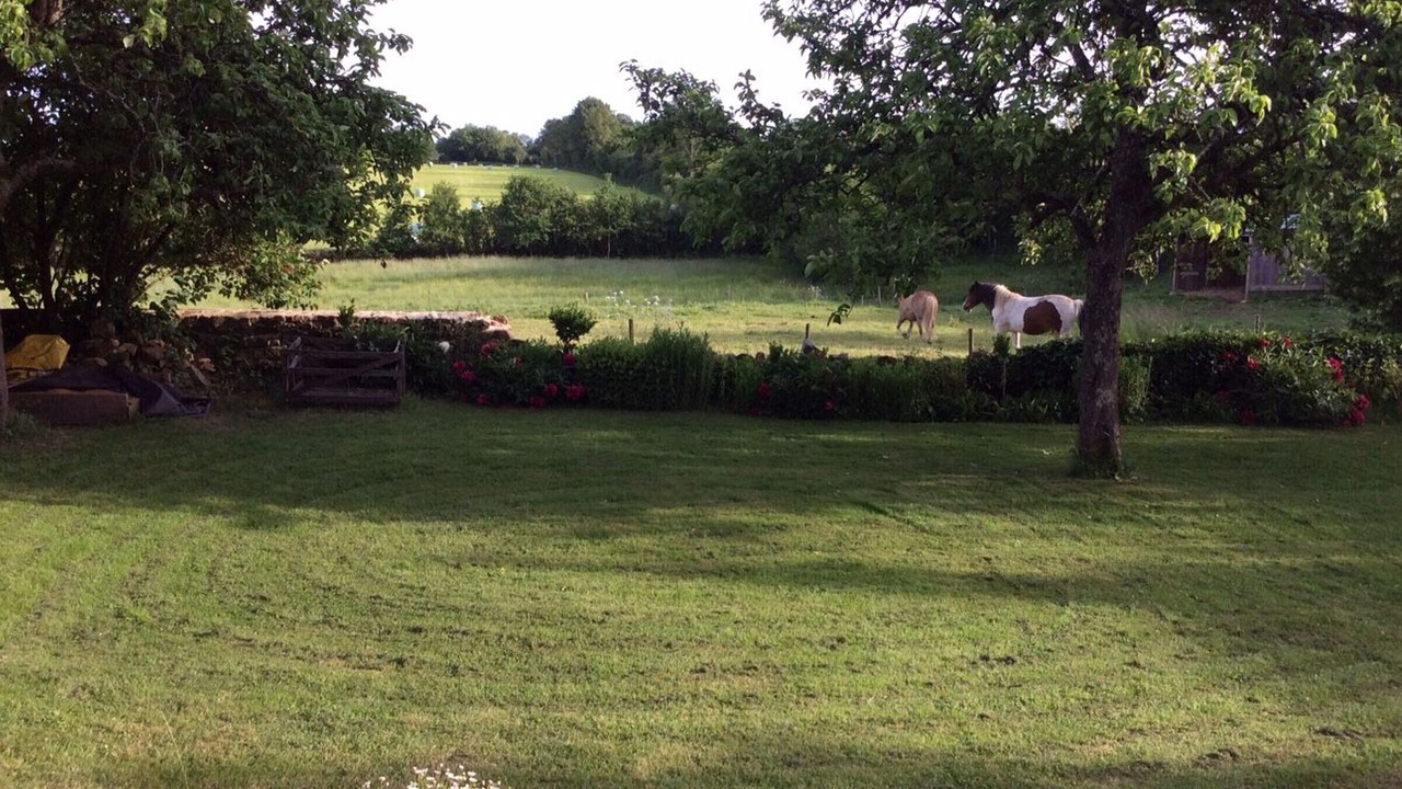 Photo of Outdoor in Chemire-en-Charnie