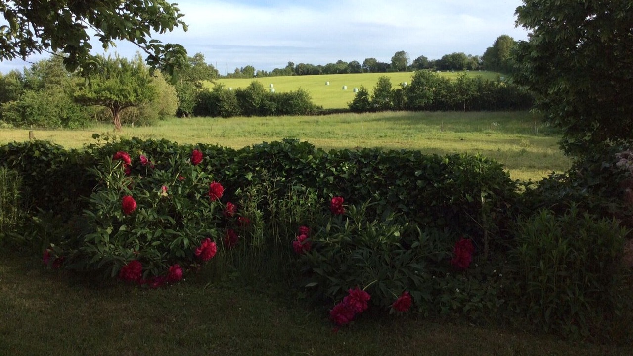 Photo of Outdoor in Chemire-en-Charnie