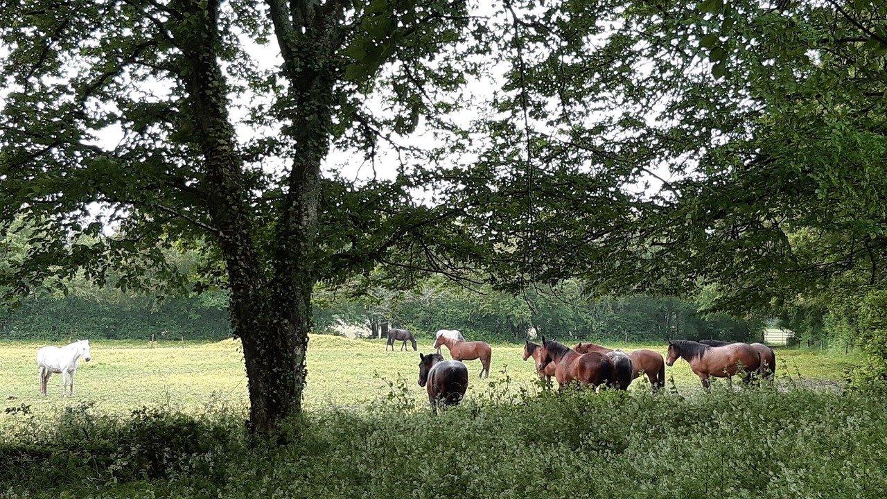 Photo of Outdoor in Saint-Maur