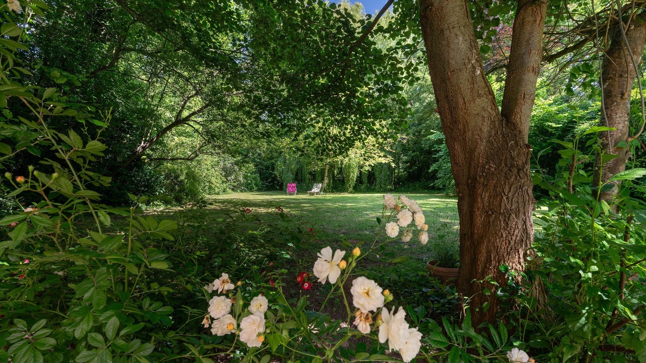 Photo of Outdoor in Ver-sur-Mer