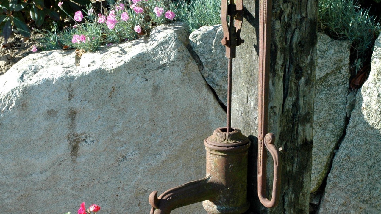 Photo of Outdoor in Plancoet