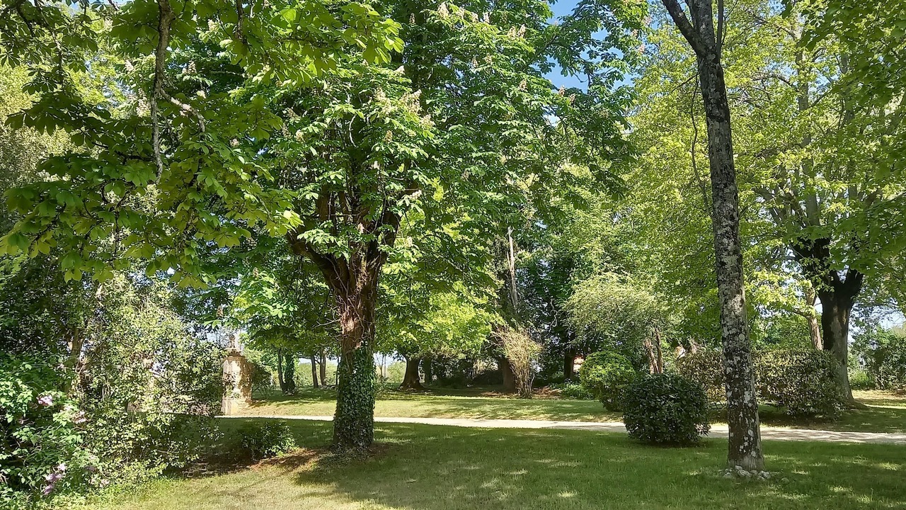Photo of Outdoor in Serignac