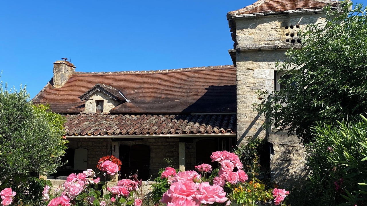 Photo of Others in Caylus