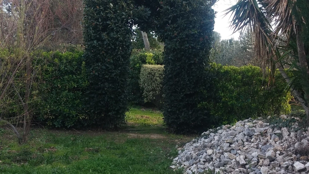Photo of Outdoor in Le Soler