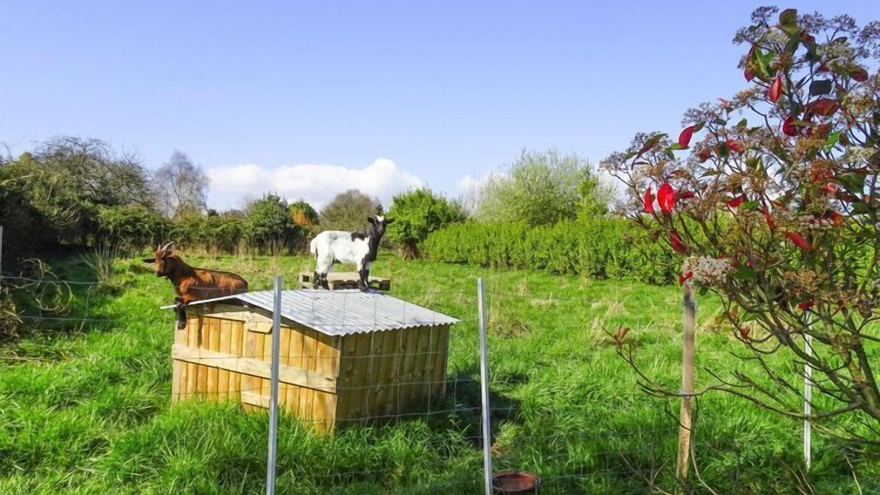 Photo of Outdoor in Plouezec