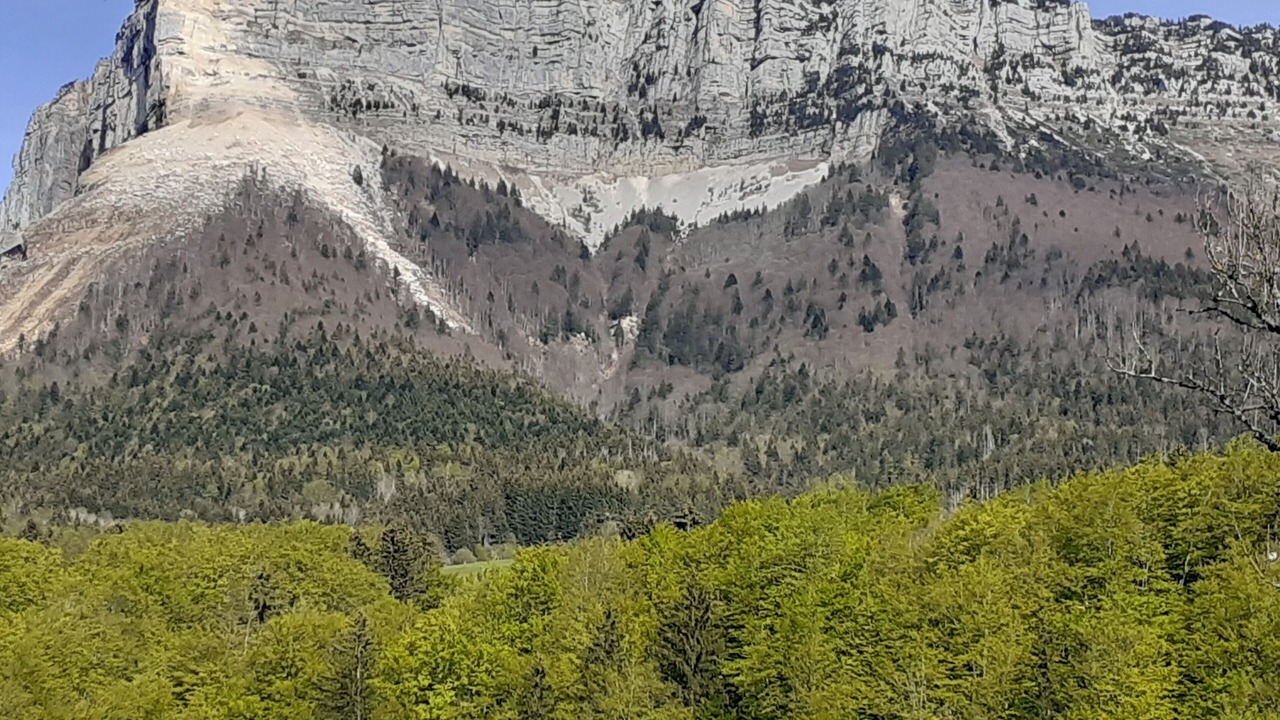 Photo of Outdoor in Entremont-le-Vieux