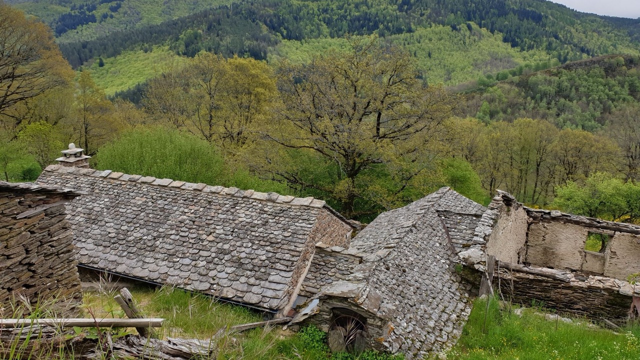 Photo of Outdoor in Cassagnas