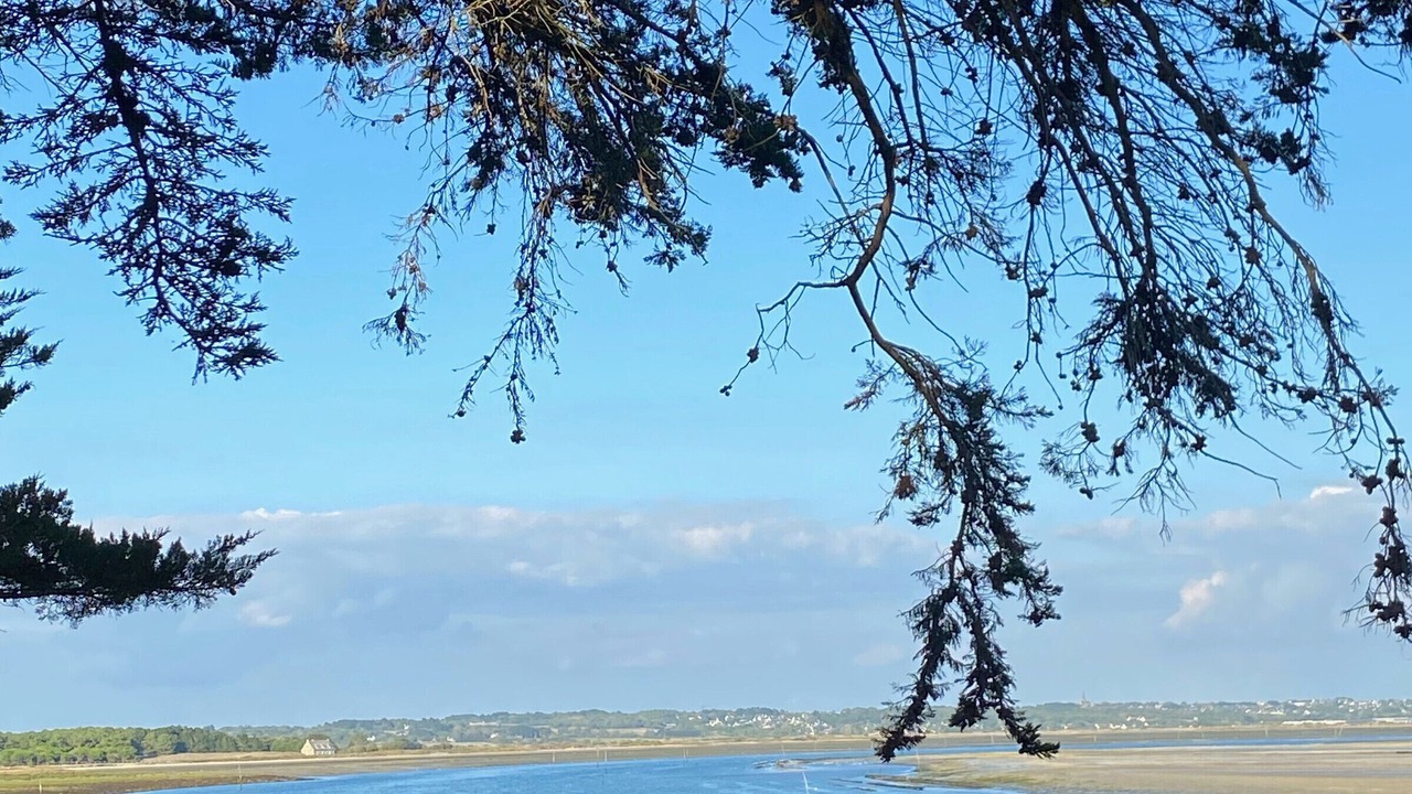 Photo of Others in Guerande