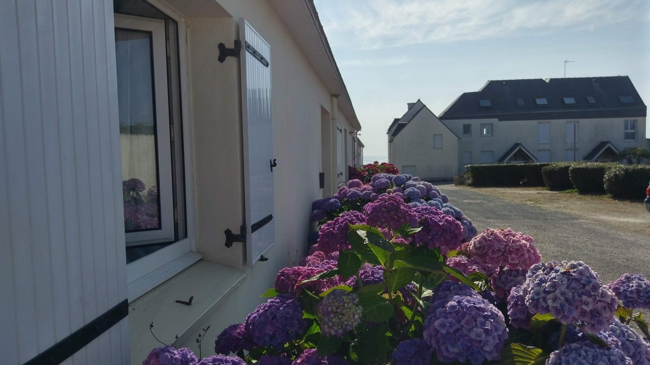 Photo of Outdoor in Trevignon