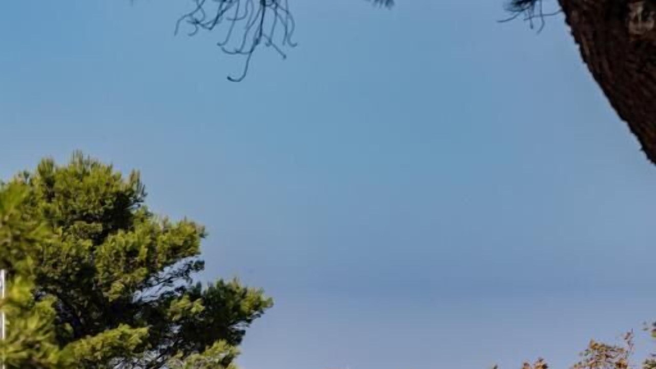 Photo of Outdoor in Le Brusc