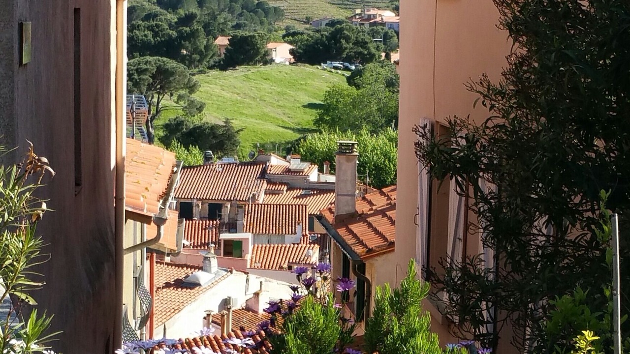 Photo of Others in Collioure