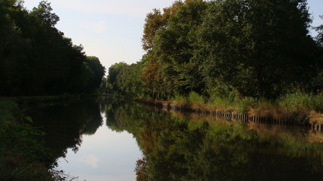 Photo of Outdoor in Gannay-sur-Loire