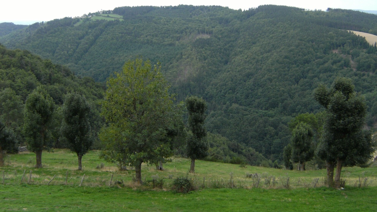 Photo of Outdoor in Saint-Leger-de-Peyre