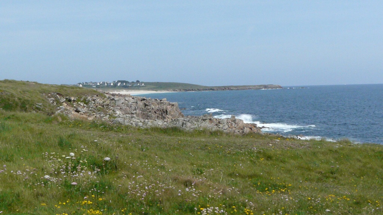 Photo of Others in Primelin