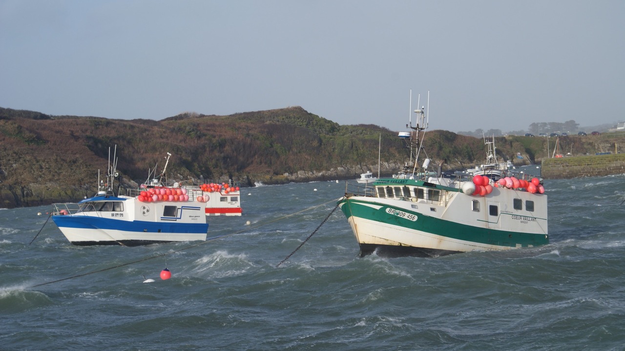 Photo of Others in Le Conquet