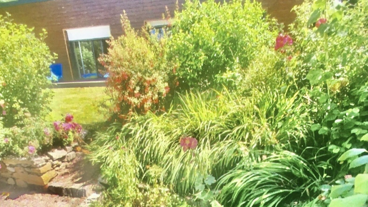 Photo of Outdoor in Plesidy