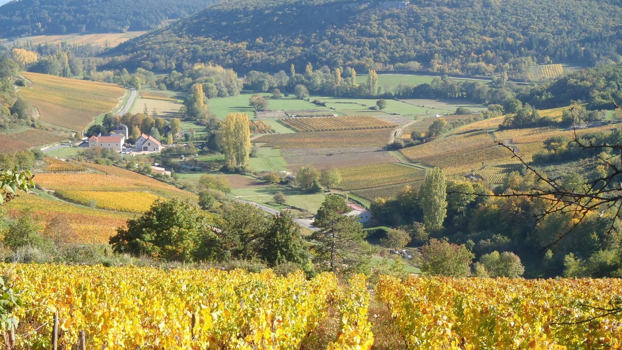 Photo of Outdoor in Ecutigny