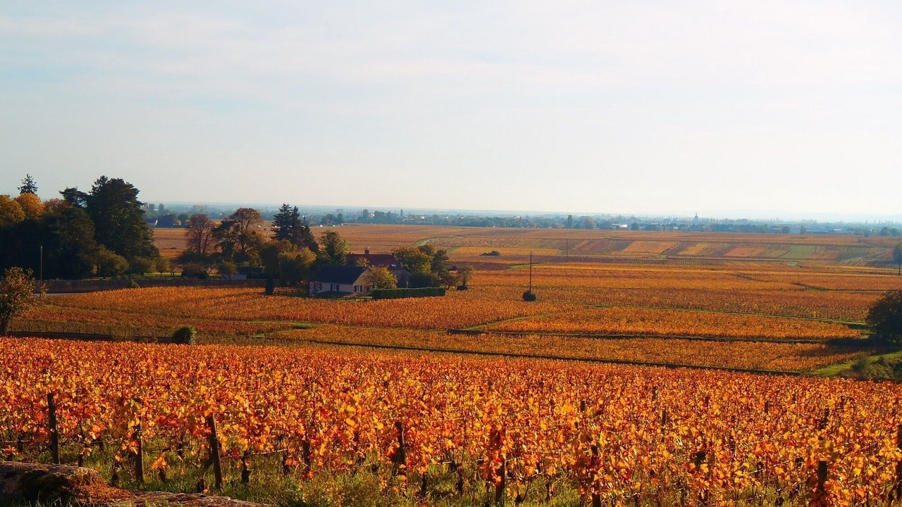 Photo of Outdoor in Ecutigny