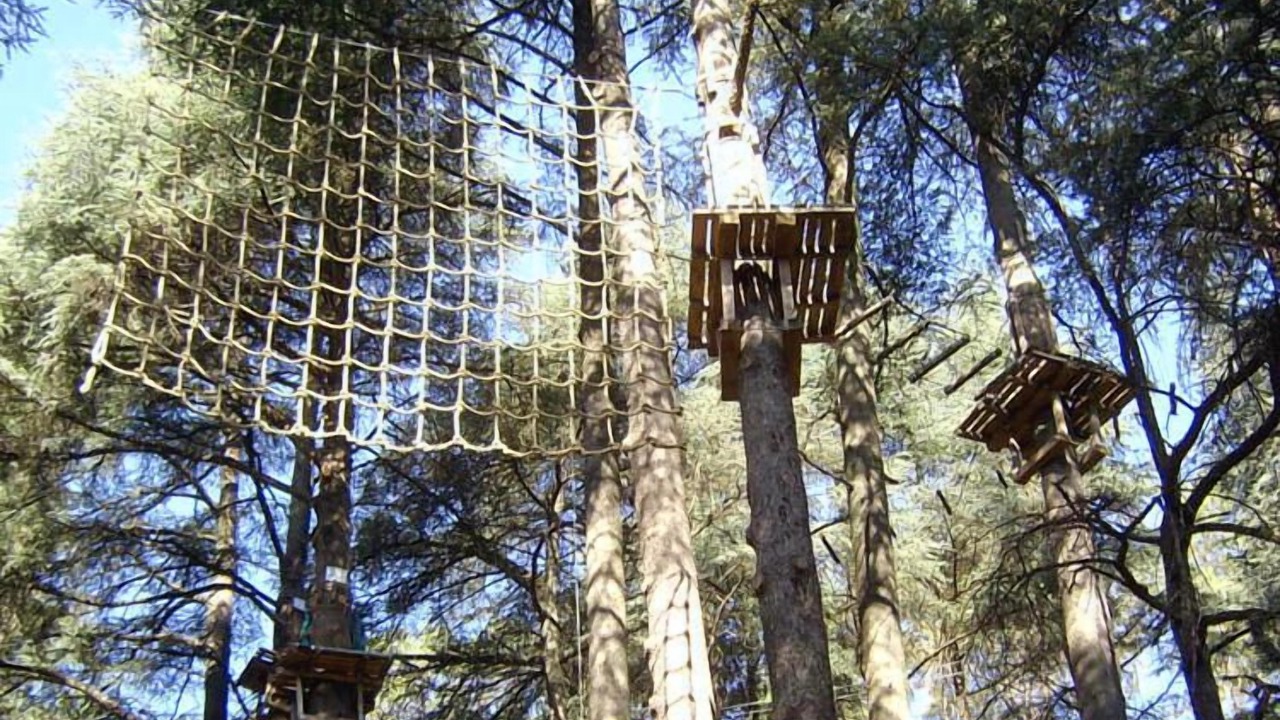 Photo of Others in La Salvetat-Peyrales