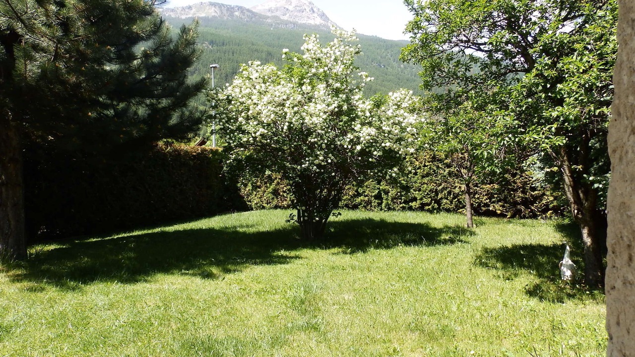 Photo of Outdoor in Forville
