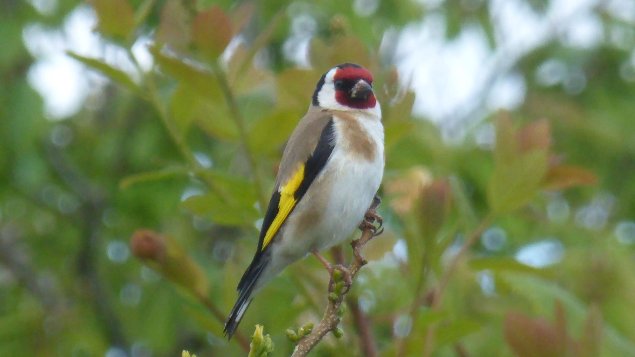 Photo of Outdoor in Bretteville