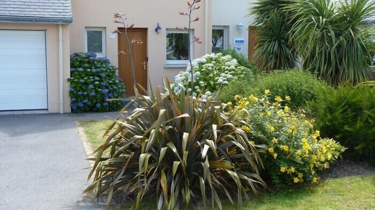 Photo of Outdoor in Baden